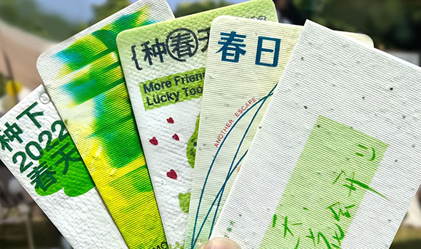 Why are seed paper cards so popular and how to choose when purchasing