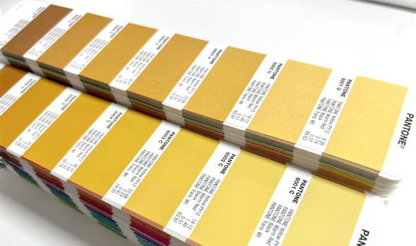 How to Understand Pantone Colors: A Full Breakdown of Pantone Codes