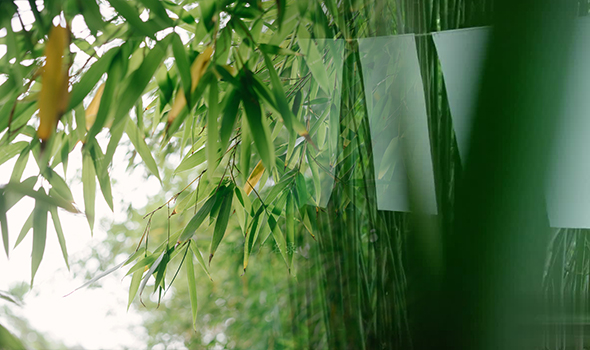 Reviving Jiajiang Bamboo Paper: A Green Innovation for Eco-Friendly Packaging