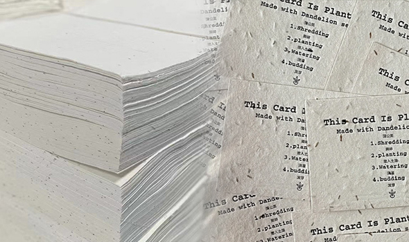 Seed Paper Production Process: A Step-by-Step Guide to Sustainable Packaging