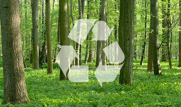 Creative Eco-Friendly Packaging Ideas That Make a Real Difference